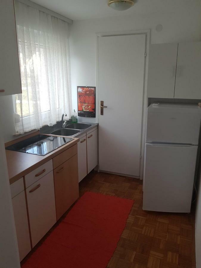 Apartment Lipar ゴレンスカ地方 エクステリア 写真